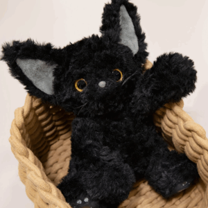 Knuffel kat