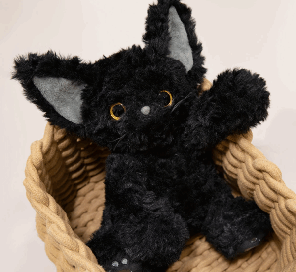 Knuffel kat